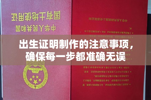 澧县出生证明制作的注意事项，确保每一步都准确无误