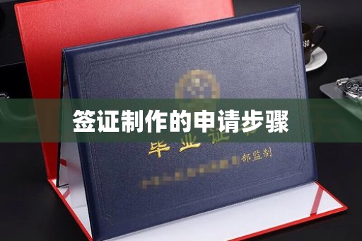 澧县签证制作的申请步骤