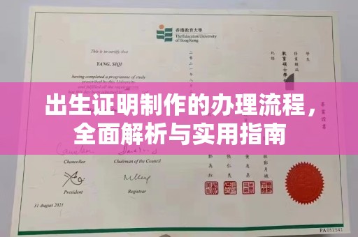 澧县出生证明制作的办理流程，全面解析与实用指南
