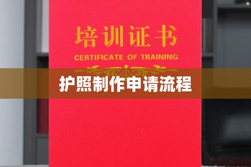 澧县护照制作申请流程