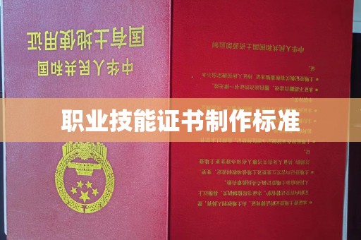 澧县职业技能证书制作标准