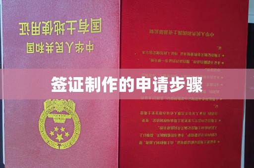 澧县签证制作的申请步骤