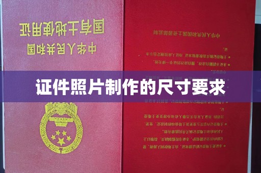 澧县证件照片制作的尺寸要求